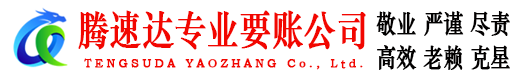 高淳腾速达清债公司